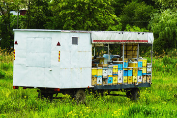 Mobile apiary on wheels