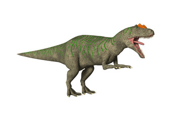 3D Rendering Dinosaur Allosaurus on White