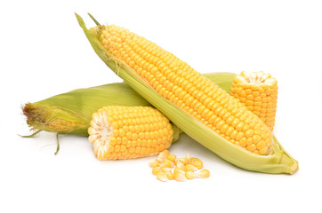Corn on a white background