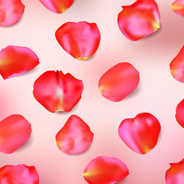 Red rose petals. Realistic vector