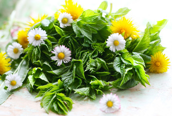 Frische Ernte - Wildgemüse, Wildkräuter aus dem Garten. Giersch (Aegopodium podagraria), Löwenzahn (Taraxacum Ruderalia) und Gänseblümchen (Bellis perennis), essbare Blüten, Salat, Wildsalat © Annett Seidler