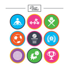 Sport games, fitness icon. Football, basketball.