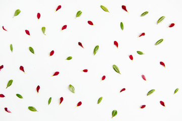 Flower composition of petals of red and green on a white background. Flat lay, top view.