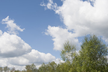 Spring cloudy sky