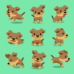 Vector cartoon character cute dog poses