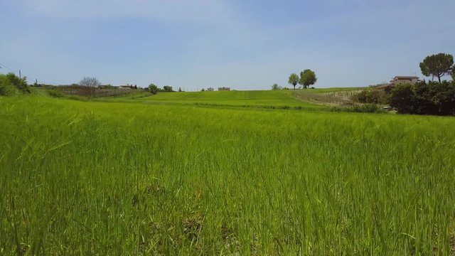 raso terra, campi rurali