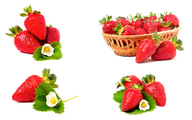 Strawberry with leaves and flowers isolated on white background. Collection or set