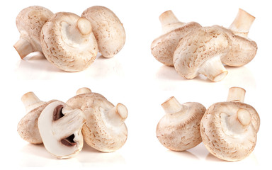 Fresh champignon mushrooms isolated on white background. Set or collection