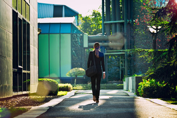 Back alley in a green city