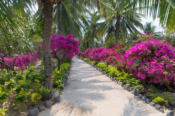 Park on Monkey Island, Vietnam