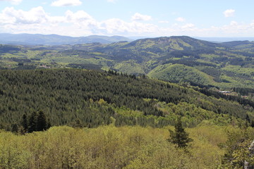 Naklejka premium paysage de la montagne Bourbonnaise