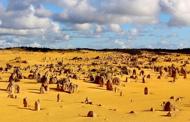 Fototapeta na wymiar Désert des pinnacles, Australie Occidentale