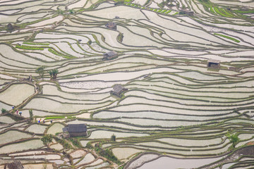 View from top on terraced fields in Yuanyang UNESCO Cultural Heritage in China