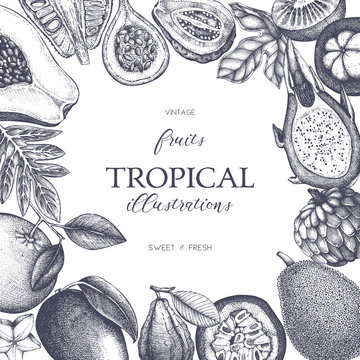 Vector frame with tropical fruits
