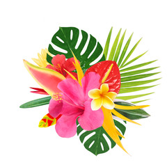  tropical flowers on a white background - 152337301