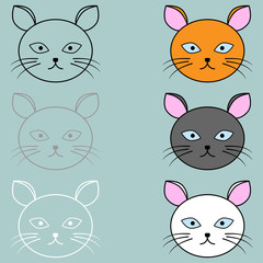 The cat face different colour.