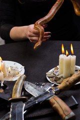A snake helps you hold the magic ritual witch
