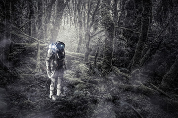 Obraz premium Astronaut in forest