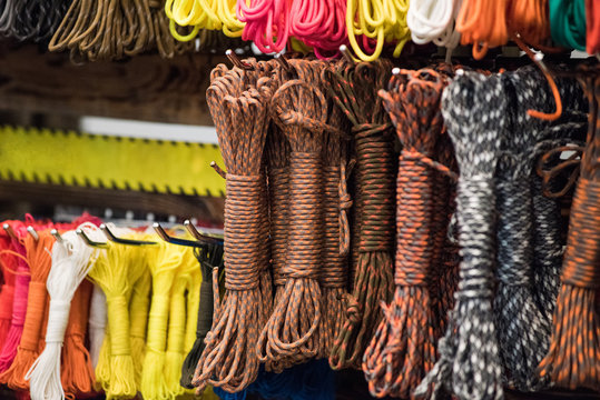 Anabantidae Bilder Durchsuchen 291 Archivfotos, und