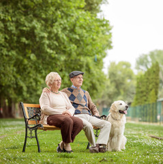 Elderly couple with a dog on a bench in a park