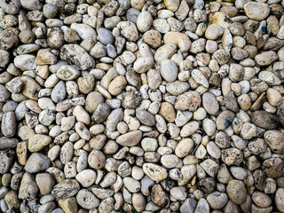Rocks background.