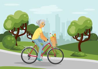 Elderly woman on bike. Woman cycling in the city park. Bicycle with grocery bag. Vector illustration.