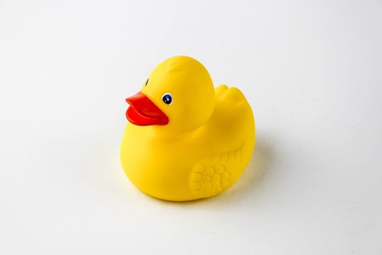 An image of a plastic duck