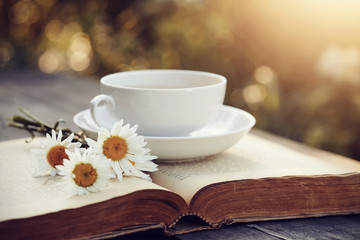 White cup, camomiles and the open old book.