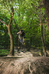 Man bikes in the green forest.