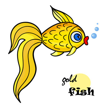 gold fish yellow2-01