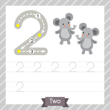 Number two tracing practice worksheet with 2 elephants for kids learning to count and to write. Vector Illustration.
