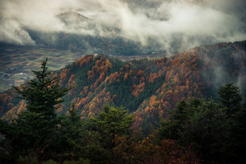 Autumn forest with low cloud and fog in the mountain with Vacation text