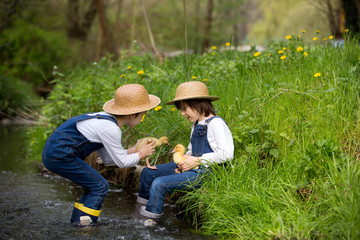 Children, playing on little river with ducklings