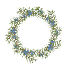 Isolated round frame of a juniper on a white background. Vector color illustration.