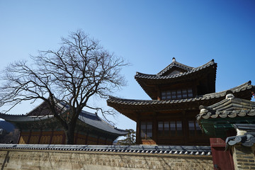 Fototapeta na wymiar Changdeokgung Palace 