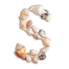 Obraz premium various sea shells capital S on isolated white background