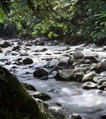 Rivière Guadeloupe 