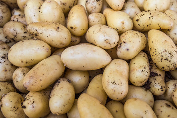 Organic potatoes at the food market