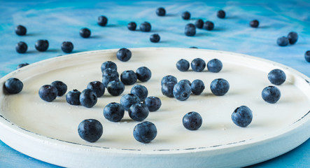 Blaubeeren auf weißem Teller und hellem Untergrund frontal fotografiert