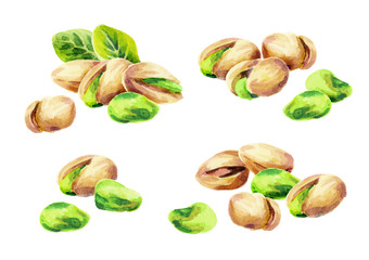 Pistachio compositionsset. Watercolor