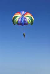 Skydiver on colorful parachute in sunny blue sky. Active lifestyle. Extreme sport.