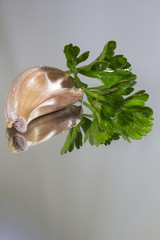Composition on a mirror of parsley and garlic