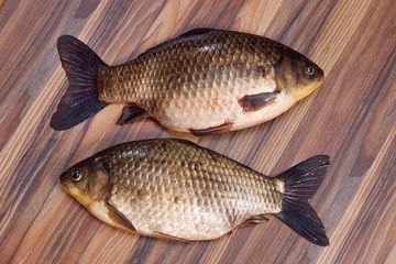 Freshly caught fish. Two big crucian carps on a wooden background. Unclean fish lying on table. Freshwater fish.