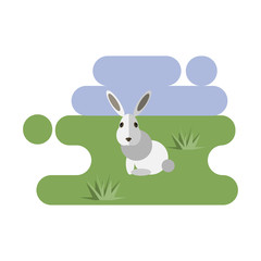 Flat cartoon rabbit icon on blue and green background