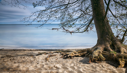 Beach in the middle of the day