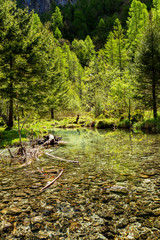 Val di Mello - Valmasino (IT) - Paesaggio alpino con ruscello