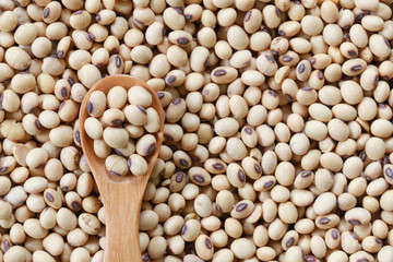 fresh soybean in wooden spoon.