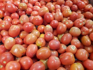 Tomatoes for sale