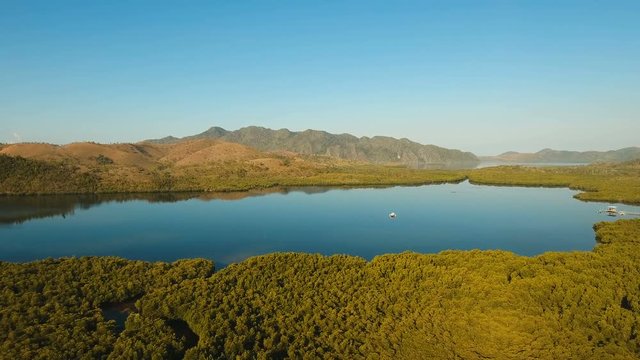 Tropical landscape, at sunrise time with mountains, tropical forest, bay, mangrove forest. Aerial view Seashore with jungle. Coron, Philippines,Palawan, Busuanga. 4K video. Travel concept Aerial