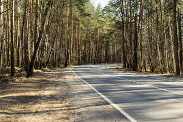 Spring forest road with shadows in Moscow Region, Russia